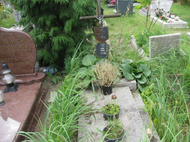 Grób Józef Cudny