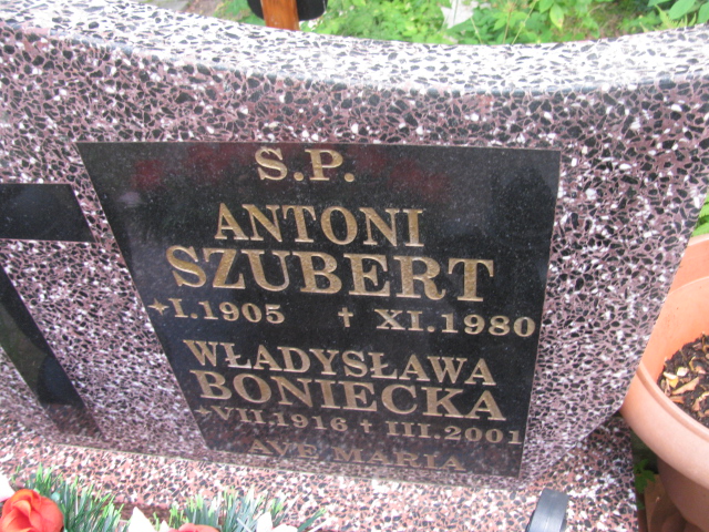 Antoni Szubert 1905 Świnoujście - Grobonet - Wyszukiwarka osób pochowanych