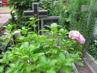 Grób Malwina Janikowska