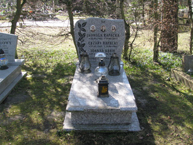 Cezary Rapacki 1914 Świnoujście - Grobonet - Wyszukiwarka osób pochowanych