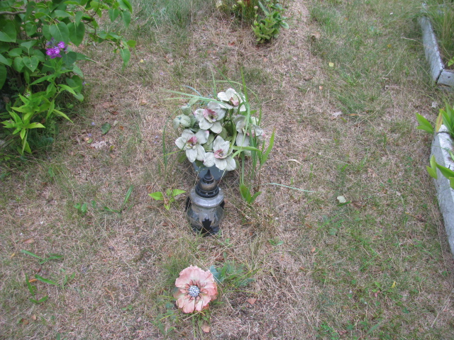  NN Świnoujście - Grobonet - Wyszukiwarka osób pochowanych