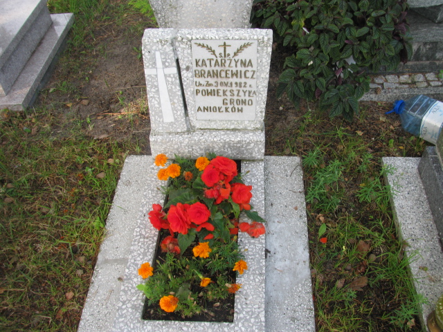Grób Katarzyna Brancewicz
