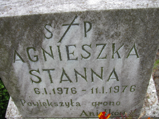 Grób Agnieszka Stanna