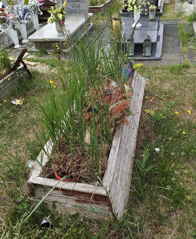 KRYSTYNA ELŻBIETA Śledź 1953 Świnoujście - Grobonet - Wyszukiwarka osób pochowanych