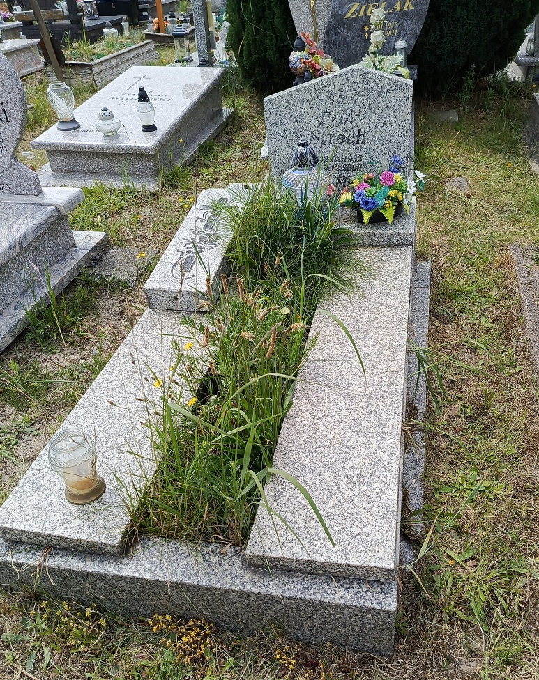 Paul Storch 1932 Świnoujście - Grobonet - Wyszukiwarka osób pochowanych