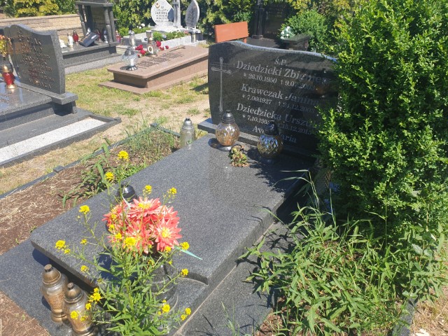 Urszula Krystyna Dziedzicka 1952 Świnoujście - Grobonet - Wyszukiwarka osób pochowanych