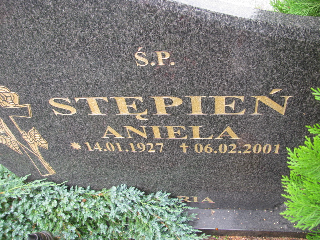 Wiesław Stępień  1937 Świnoujście - Grobonet - Wyszukiwarka osób pochowanych